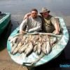 Ахтуба рыбалка - Щука на спиннинг